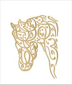 فاطمة بنت هزاع بن زايد تلتقي فريق المتطوعات في مبادرة إفطار الصائم في جامع الشيخ خليفة الكبير في منطقة العين