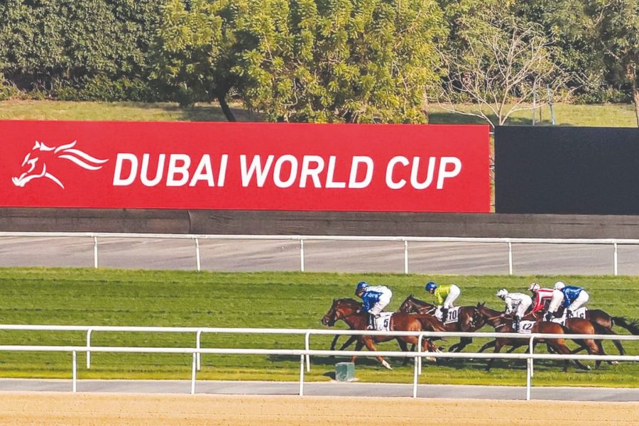 “كولور أب” يتعافى من الجراحة للمنافسة في شوط “دبي جولدن شاهين” بكأس دبي العالمي