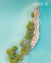 #هذه_أبوظبي.. بعدسة سيف بن علي