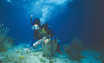 “موانئ أبوظبي” تصدر تقرير نقل وإعادة توطين الشعاب المرجانية بالخليج العربي