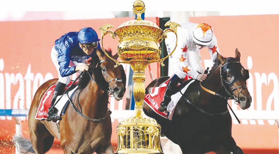 “بريد ويج” تتحدى الصدارة في شوط ” دبي تيرف”