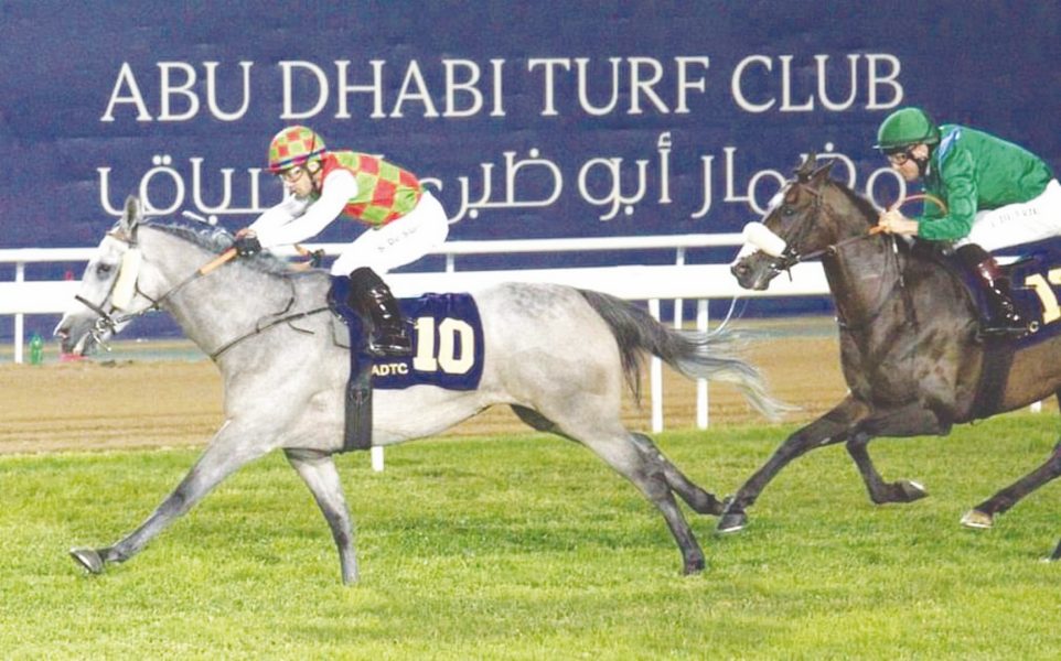 الخيول العربية والمهجنة تتنافس في “السباق الختامي” بأبوظبي اليوم