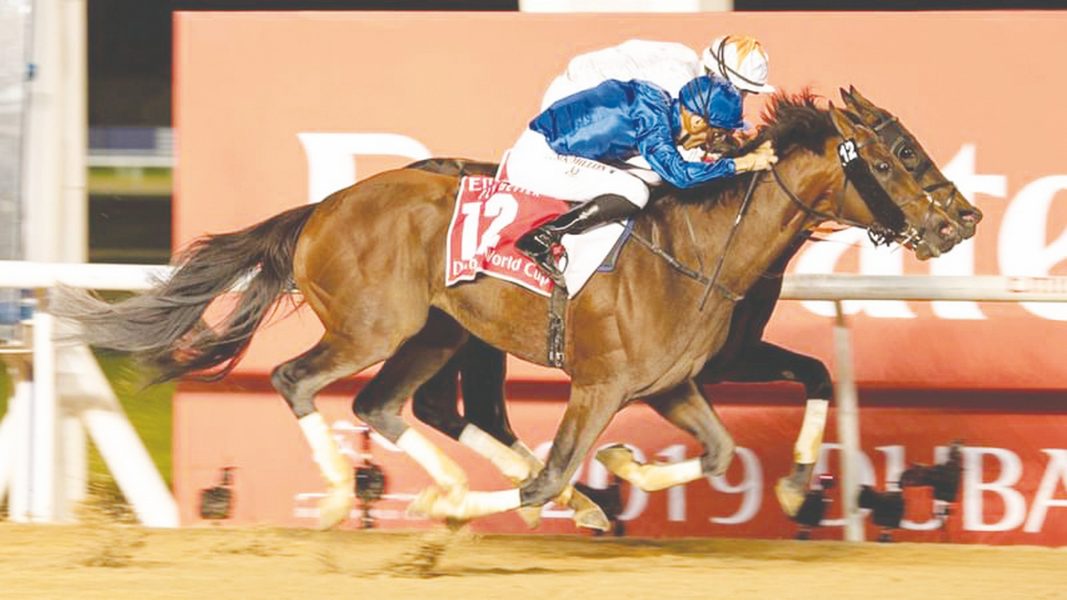 3 جياد مرشحة لتحطيم أفضل زمن في الشوط الرئيسي لكأس دبي العالمي