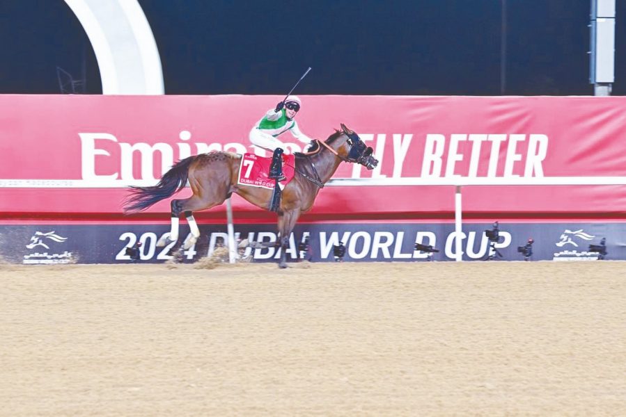 أرقام قياسية تنتظر النسخة 29 من كأس دبي العالمي للخيول