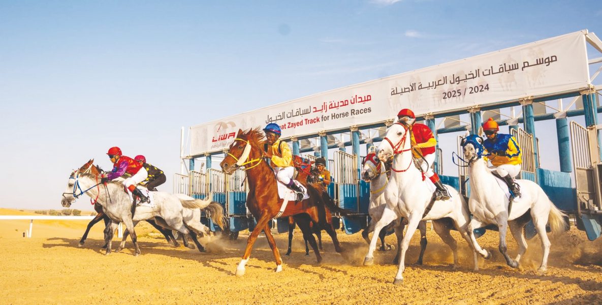 اليوم.. انطلاق السباق التاسع للخيول العربية الأصيلة في الظفرة