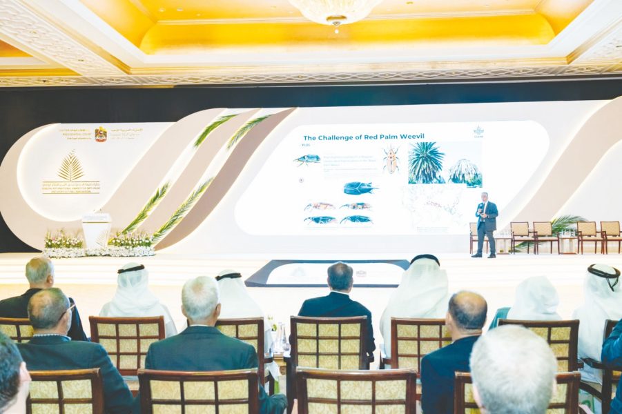 أبوظبي تطلق “الاتحاد الدولي لمكافحة سوسة النخيل الحمراء”