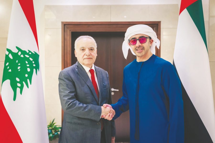 عبدالله بن زايد يستعرض علاقات التعاون مع وزير الثقافة اللبناني