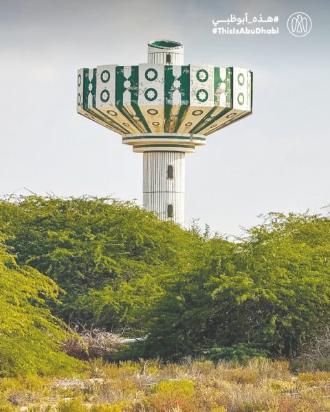 #هذه_أبوظبي.. بعدسة أليكس وسيلفيا