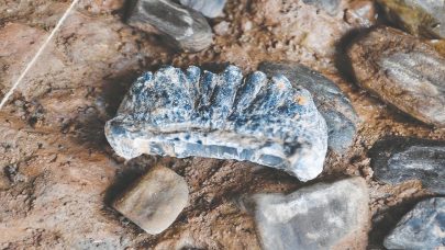 اكتشاف 100 موقع من العصر الحجري القديم شمال غرب الصين