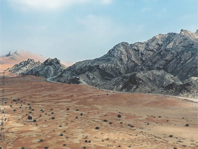 الشارقة.. “الفاية” يكمل 11 عاماً من التعاون مع برنامج اليونسكو لـ”التطور البشري”