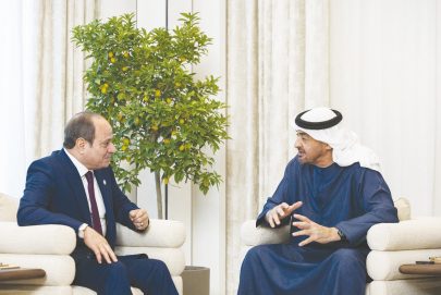 رئيس الدولة والرئيس المصري يبحثان العلاقات الأخوية والتطورات الإقليمية