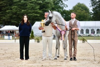 “مربط العليا” يحصد لقب البطل الذهبي لفئة الفحول في بومبادور الفرنسية