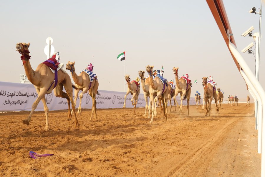 بتوجيهات رئيس الدولة ورعاية هزاع بن زايد.. انطلاقة قوية لمنافسات مهرجان العين لسباقات الهجن