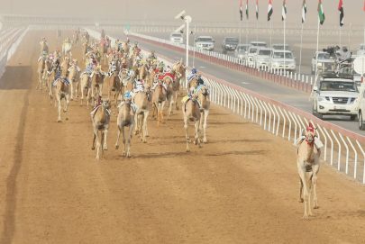 “العين لسباقات الهجن”.. محطة جديدة لتعزيز رياضات الآباء والأجداد