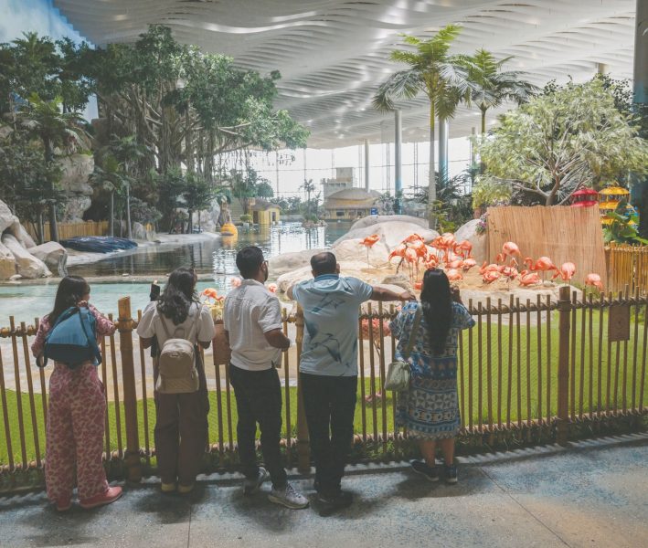 “سي وورلد أبوظبي”.. أيقونة ترفيهية تثري المعرفة بالبيئة البحرية