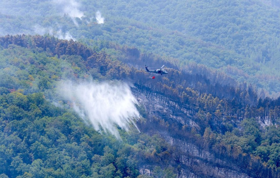 فريق الإنقاذ الإماراتي يواصل جهوده لاحتواء حرائق الغابات في عدة مناطق بألبانيا