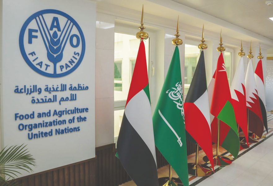 “الفـاو” تشيد بجهود الإمارات في تمكين المرأة