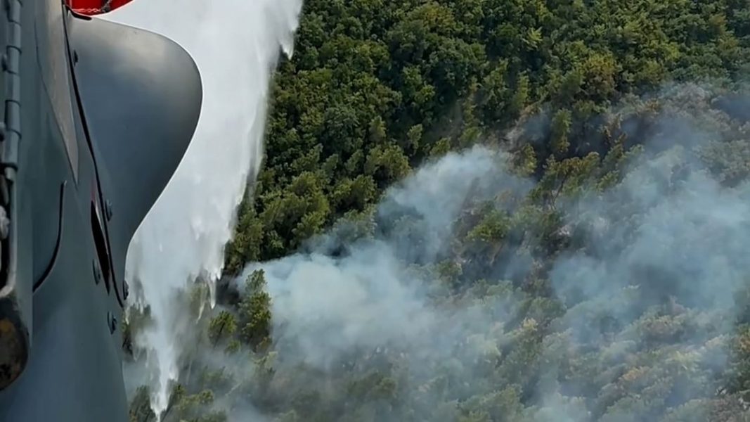 فريق الإنقاذ الإماراتي يواصل احتواء حرائق الغابات في ألبانيا بكفاءة عالية