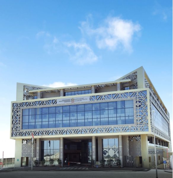 الموارد البشرية والتوطين” تضبط حالات “توطين صوري” لدى شركات خاصة