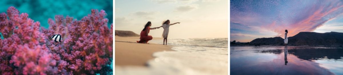 خمسة أسباب تجعل من أمالا وجهةً لا بدّ من زيارتها اليوم