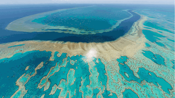 تراجع قياسي في شعاب الحاجز المرجاني العظيم في أستراليا خلال 2024
