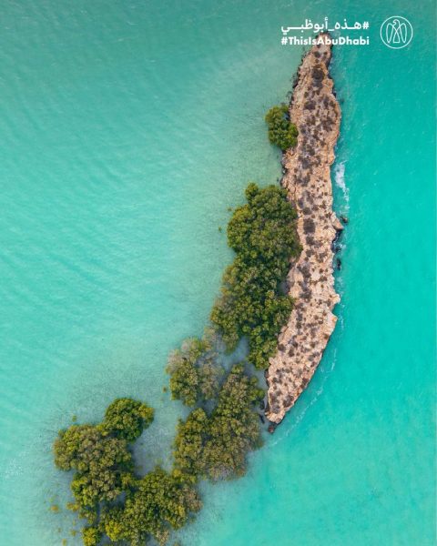 #هذه_أبوظبي.. بعدسة سيف بن علي