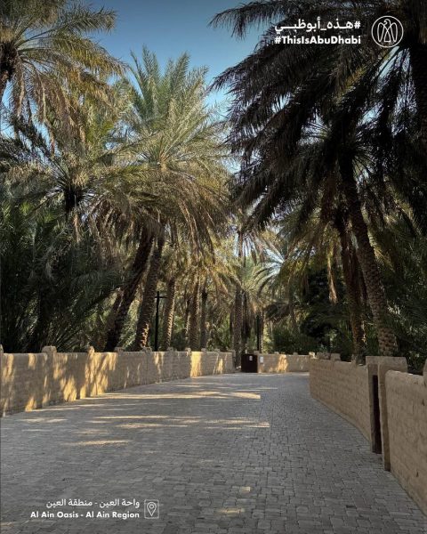 #هذه_أبوظبي.. بعدسة مها بنت منصور