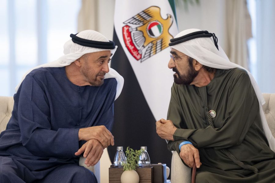 رئيس الدولة ومحمد بن راشد يبحثان شؤون الوطن والمواطن