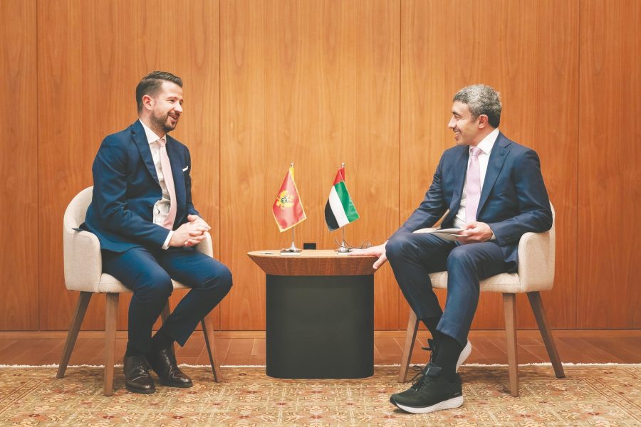 عبدالله بن زايد يبحث سبل تعزيز التعاون مع رئيس مونتينيغرو في نيويورك