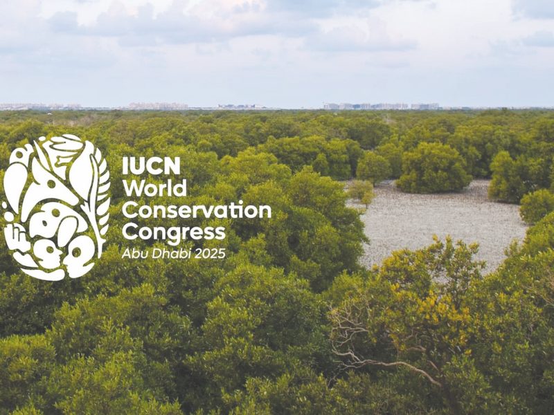 المؤتمر العالمي للحفاظ على الطبيعة بأبوظبي يدفع عجلة التعاون العالمي في مجال حماية البيئة