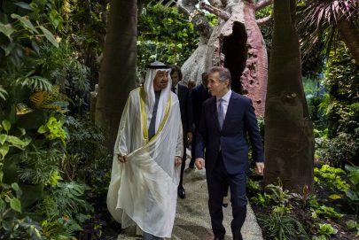 رئيس الدولة يلتقي الرئيس الفخري لحزب الحلم الجورجي الحاكم في إطار زيارته الرسمية إلى جورجيا