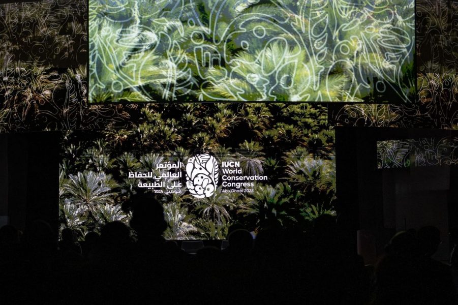 شركات إماراتية تعزز مستقبل الاستدامة في “المؤتمر العالمي للحفاظ على الطبيعة”