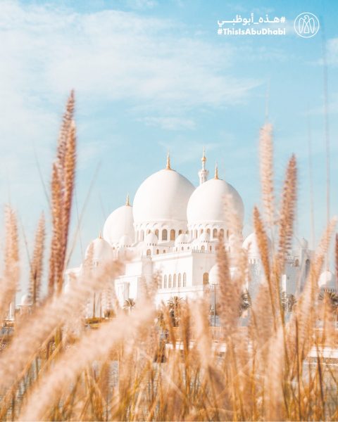 #هذه_أبوظبي.. بعدسة ريم بنت علي