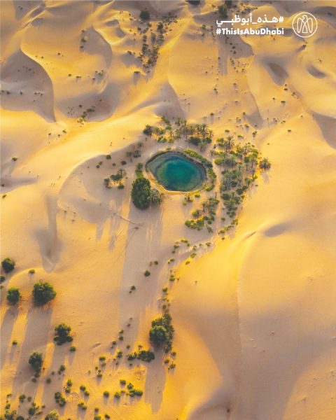 #هذه_أبوظبي.. بعدسة م سيف بن علي