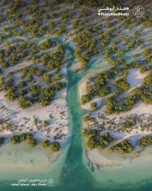 #هذه_أبوظبي.. بعدسة سيف بن علي