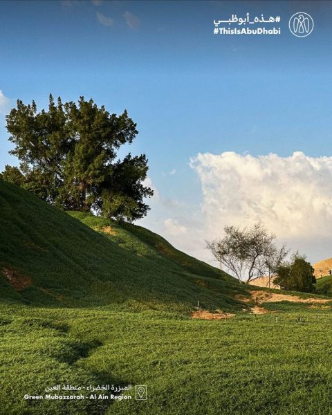 #هذه_أبوظبي.. بعدسة سالم سعد