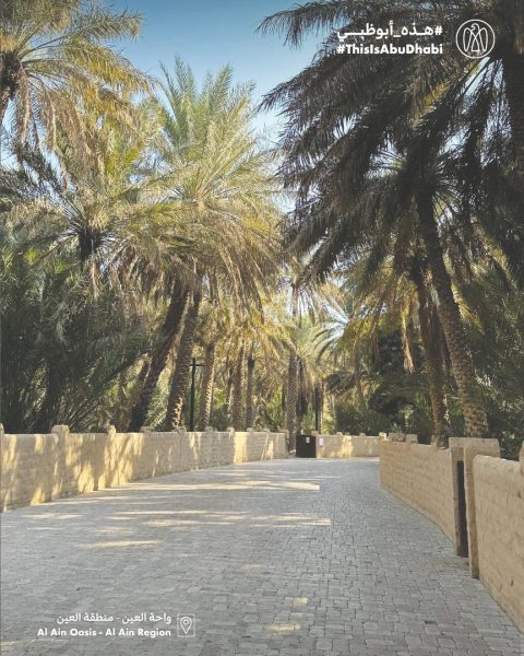 #هذه_أبوظبي.. بعدسة مها بنت منصور