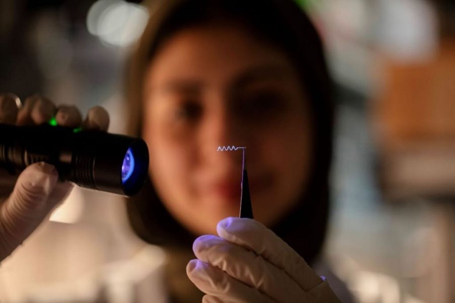 باحثون في “نيويورك أبوظبي” يبتكرون وسيلة جديدة لعلاج الاضطرابات العصبية