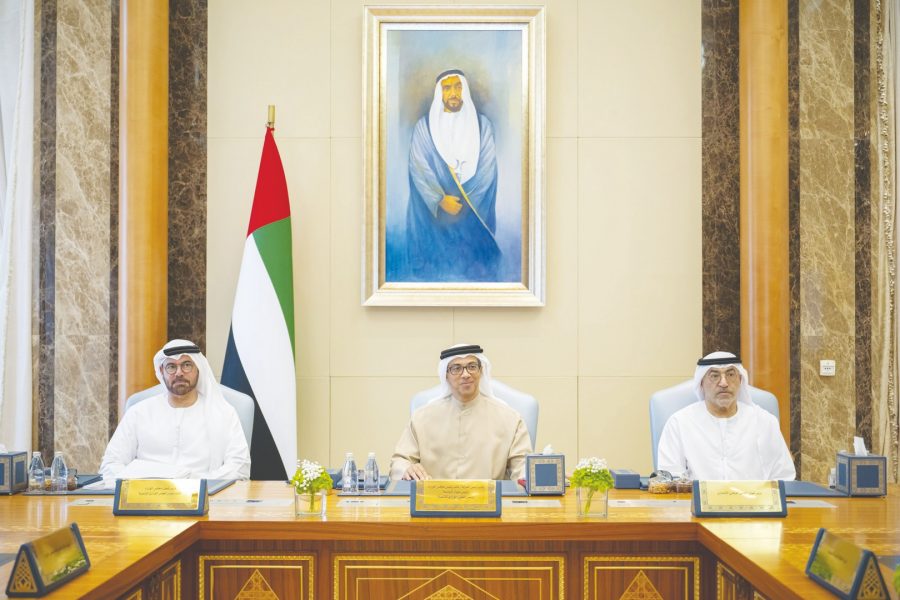 المجلس الوزاري للتنمية برئاسة منصور بن زايد يطلع على مستجدات تنفيذ السياسات والمبادرات الحكومية