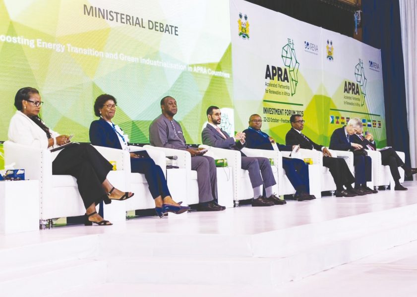 الإمارات تؤكد التزامها بالشراكة مع أفريقيا للتحول نحو الطاقة النظيفة والتصنيع الأخضر