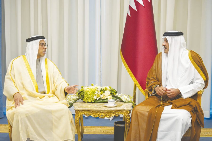 منصور بن زايد يلتقي أمير قطر على هامش قمة شرم الشيخ للسلام