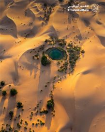 #هذه_أبوظبي.. بعدسة سيف بن علي