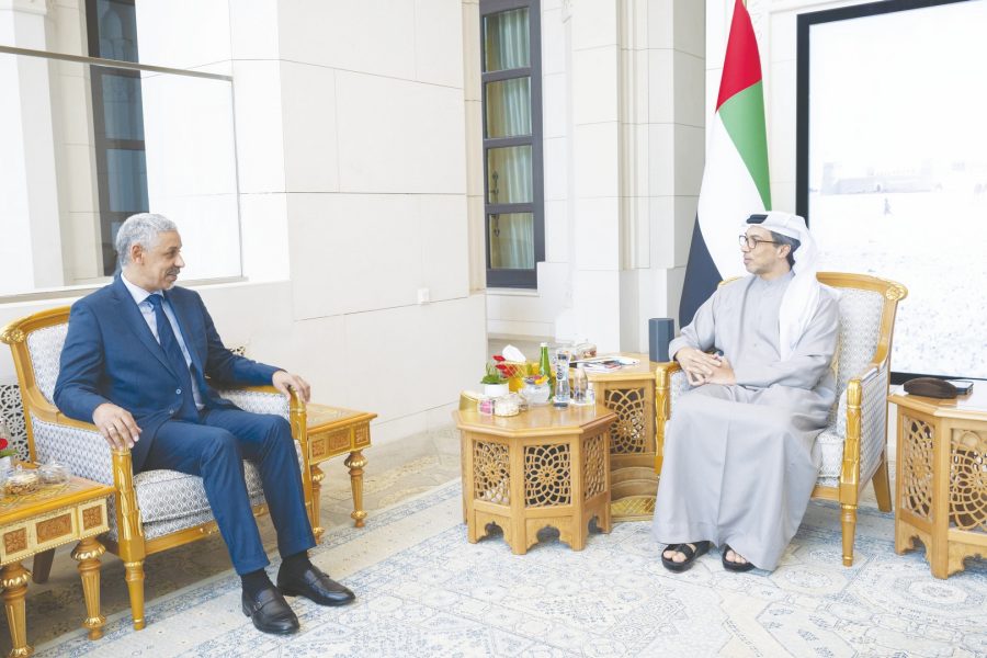 منصور بن زايد يبحث التعاون مع مدير عام المصرف العربي للتنمية الاقتصادية في إفريقيا