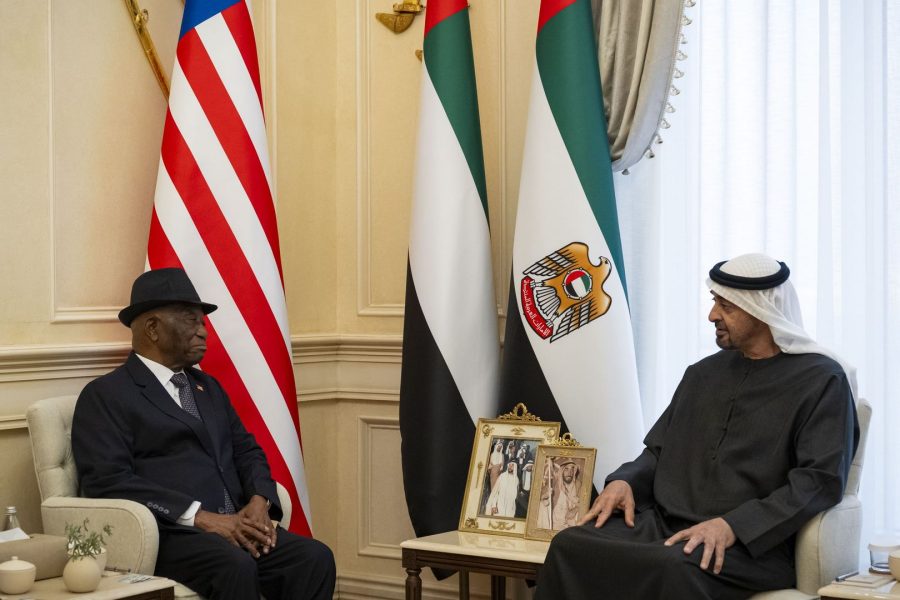 رئيس الدولة: الإمارات حريصة على تعزيز علاقاتها مع الدول الأفريقية