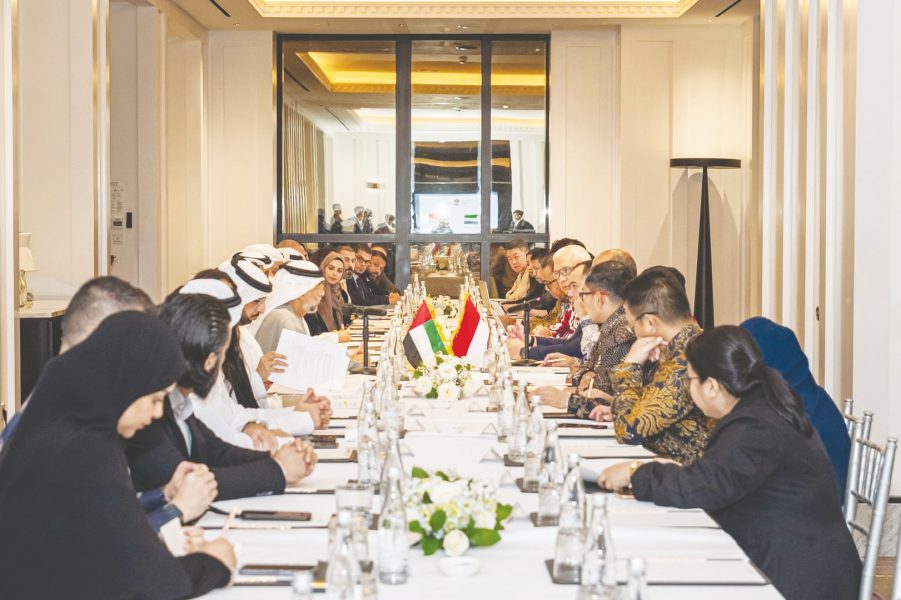 وزير الطاقة والبنية التحتية يؤكد أهمية تعزيز الشراكة الاقتصادية الإماراتية الإندونيسية
