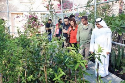 مزارع المواطنين.. مشاريع استثمارية رائدة ووجهات سياحية مستدامة