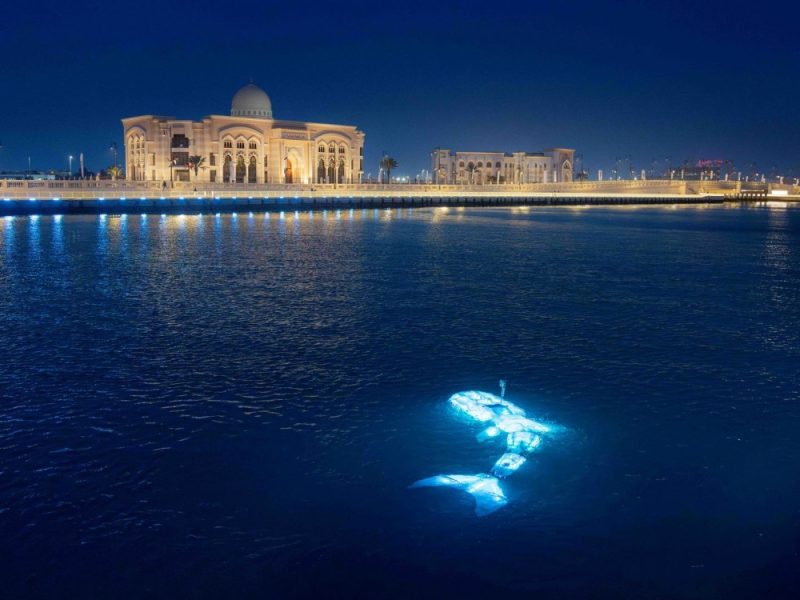 حصاد الإمارات 2025.. مشاريع نوعية في البنية التحتية تعزز جودة الحياة