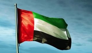 الإمارات في اليمن.. «دبلوماسية الحكمة» تنتصر للسلام والاستقرار