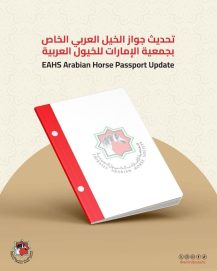 جمعية الإمارات للخيول العربية تُحدّث “جواز الخيل “