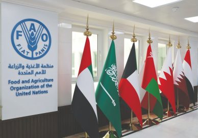 الفاو:الإمارات شريك إستراتيجي في دعم الأمن الغذائي إقليمياً وعالمياً